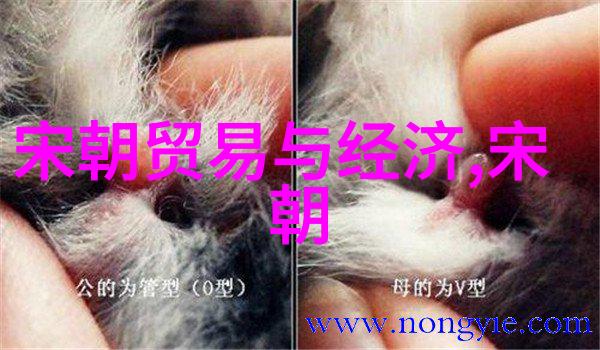 南明覆灭留下遗民小朝廷的历史轨迹探究