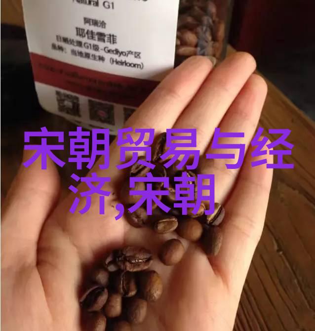 清兵入关前后的社会动荡和民生问题在南明期间又是如何处理的