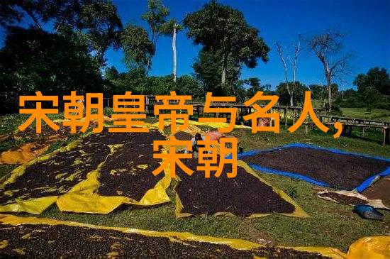 明朝君主-龙凤盛世明朝帝王的辉煌与挣扎