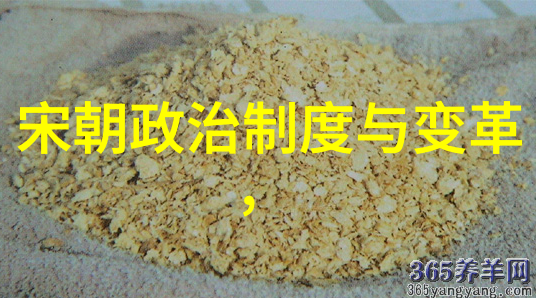 宋代时代特征总结-墨水与丝绸宋代文化的繁荣与创新