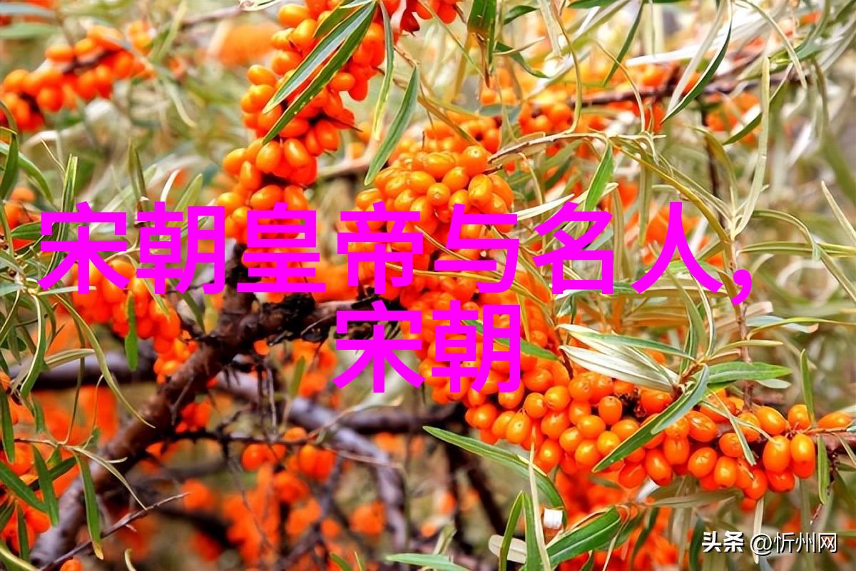 遮天之逆袭我是从街头巷尾的小子怎么变得无人能敌
