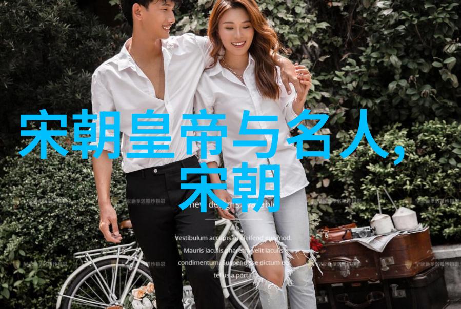 宋代文化繁荣与政治稳定的交响曲时代特征的绚烂回声