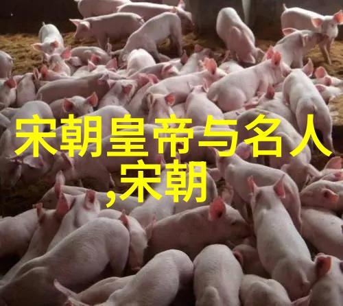 南宋江山易改本末已倒