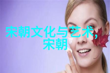宋朝算大一统的王朝吗 - 宋代之辉煌论其在中国历史上的统一地位