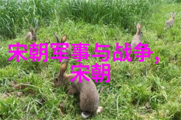 农家娘子种田记-春播忙碌的土地情诗
