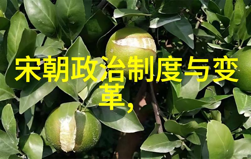明代历史研究从朱元璋的创立到万历年间的鼎盛