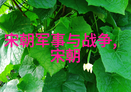 百年风华宋国的兴衰与成就