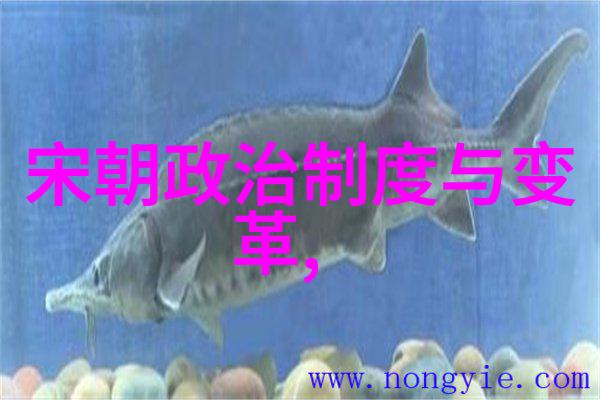 朝代跳跃揭秘光绪之前那些皇位转让的笑话故事