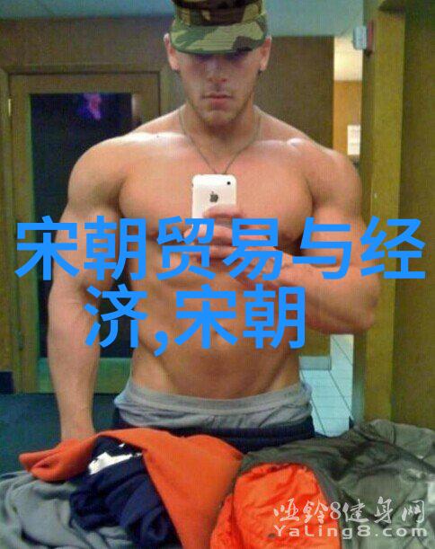 南宋和北宋的历史资料我来告诉你北宋与南宋的故事藏在哪里