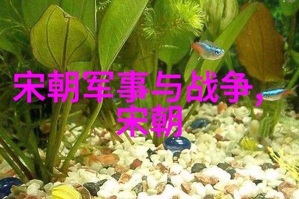 南宋九帝如同古老城池仅有一位公主轻盈出嫁而这不仅与宋朝文化与艺术的繁荣息息相关也是对那段历史华丽篇章