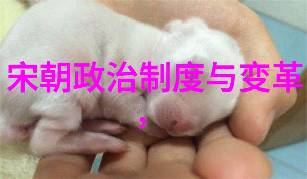 明朝历代年号简表一览清华古今