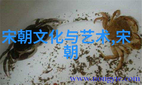 在历史长河中探寻刘伯温去世所带来的政治和情感震荡