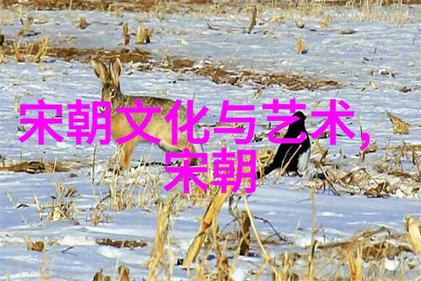 宋代时代特征总结我眼中的宋朝繁华与深沉