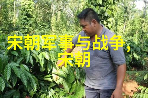 明朝中期宗室分裂与继承权斗争史