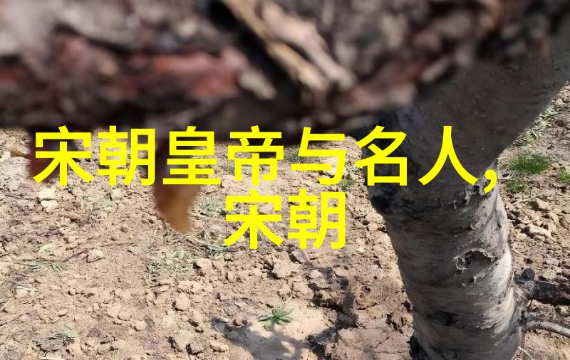 明朝历史简介从洪武至崇禎的兴衰交替