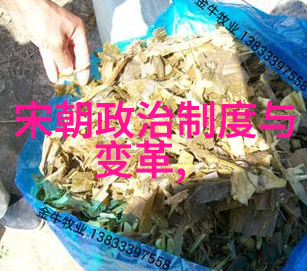明朝那些事谁播的好听穿越时空聊古风我是如何成为明朝大侦探的