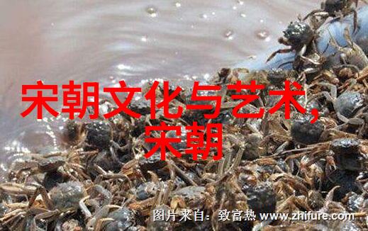 明朝那些事儿第二部免费阅读全文揭秘红楼梦背后的宫廷斗争我的明朝奇遇