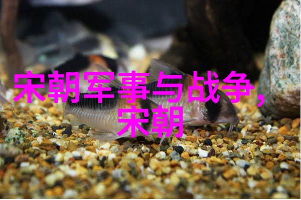 南明朝历代帝王简历我来给你讲讲这段历史上的那些皇帝吧