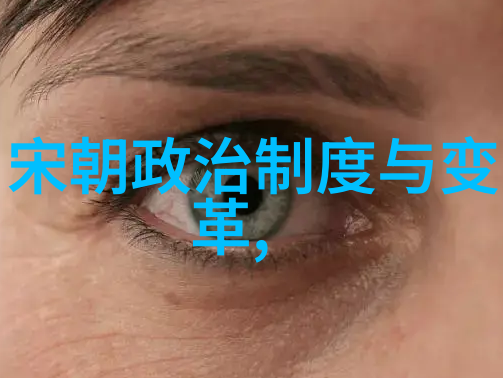 历史探究-元朝覆灭的原因战争内忧与自然灾害的联合打击
