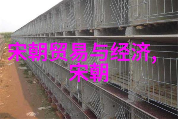 未来的回声如何看待过去对未来的启示