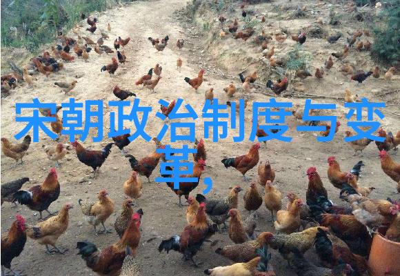 海上霸主崛起明代海禁政策及其后果探讨及相关战争影响评析