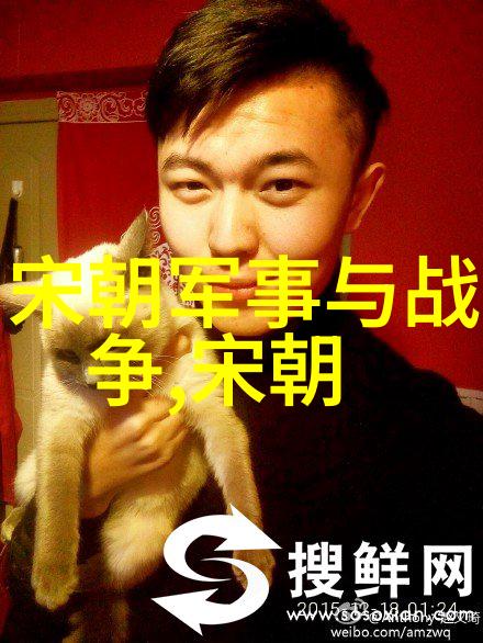 辉煌的序章元朝年号的编织与历史的铭记