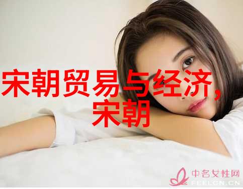 天命地利人和明朝十六帝对外交政策的看法