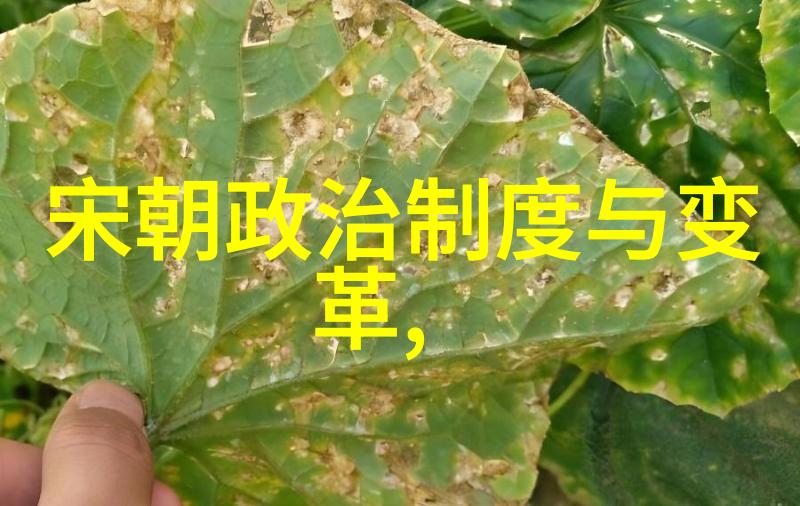 黄梅戏天女散花第五届艺术节开幕闭幕式如同盛夏之花首次在蓝天下绽放
