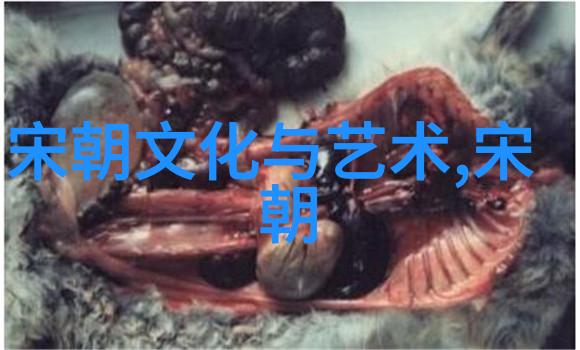 中国古代朝代演变历程从黄帝到清朝的兴衰更迭