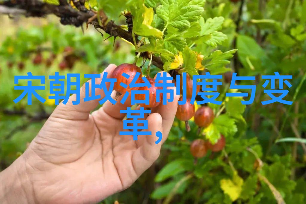 南诏国覆灭的悲歌如何看待宋朝军队的征服