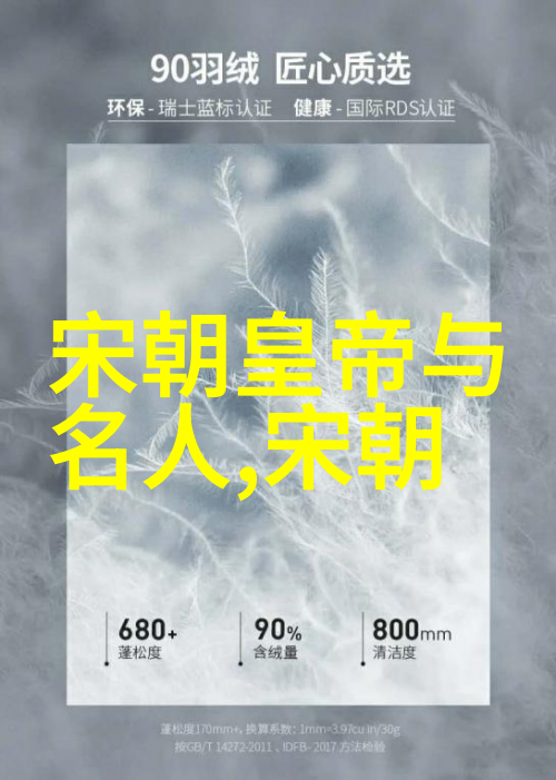 历史疑案-朱祁镇背后的悲剧为什么要杀张太后