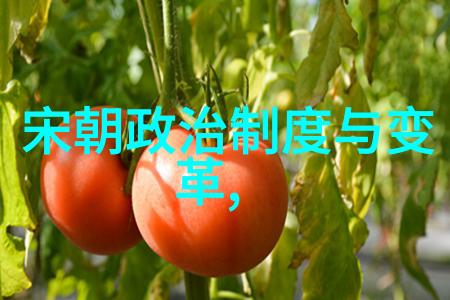 传统观点认为同治帝晚期身体状况不佳这对他子嗣的地位产生了怎样的影响