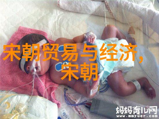 中国历史的长河历代王朝崛起与衰落的秘密