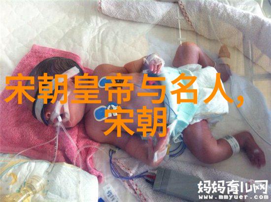 明朝南京建都史重塑城市印记