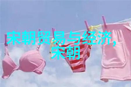 南宋和北宋哪个朝代在前面-时光回响解析南宋与北宋的历史先后