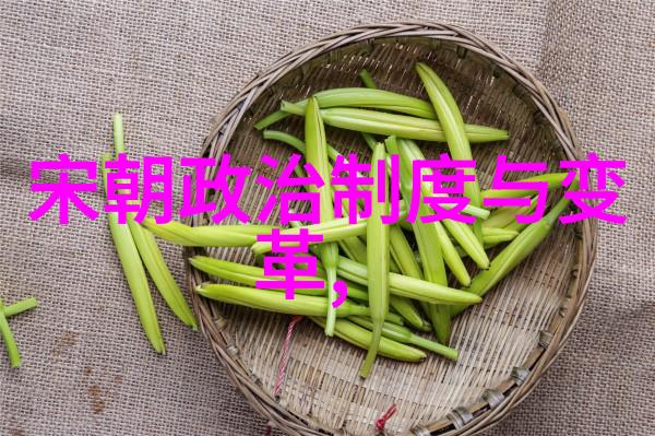 明朝奇闻录揭秘那些让人震惊的古怪事件