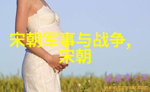 宋朝历史的璀璨之冠专家们为何如此赞誉