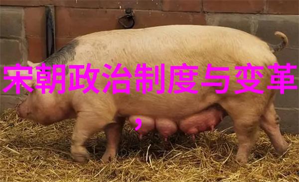 明朝名将戚继光