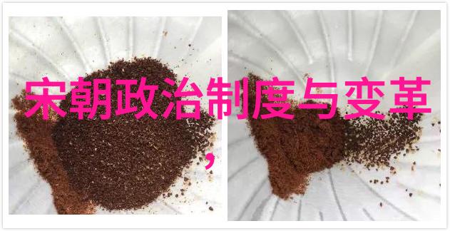 中国历史上最为硬气的王朝铁血与智慧的并行时空