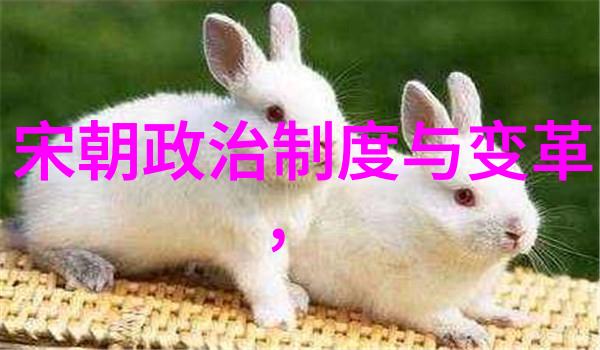 陈素真河南戏曲界的巨擘她的艺术才华如同朝阳沟上山原唱般璀璨夺目占据了戏曲名人排行榜的巅峰之位