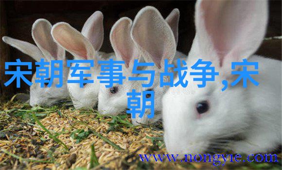 唐朝av影像唐懿宗皇帝传记