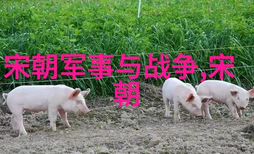宋代时代特征总结我看宋代繁花似锦的文治盛世