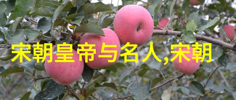 企业文化传奇南宋三朝帝王的禅让之谜