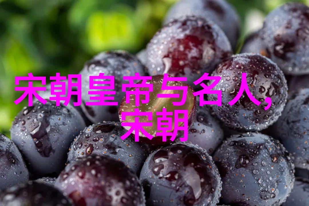从朱元璋到崇祯明朝历代帝王排名顺序探究