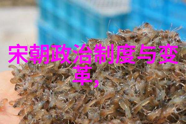 宋朝算大一统的王朝吗中国历史宋朝统一帝国疆域扩张