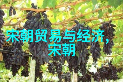 明朝大观江南水乡的繁华与沉默