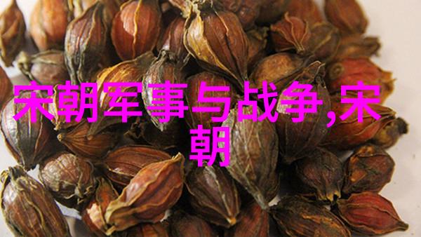 宋代经济发展的关键要素