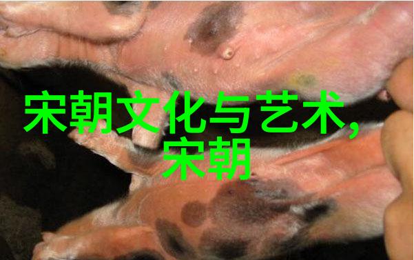 我来告诉你中国朝代顺序列表从黄帝到清朝的长长历史