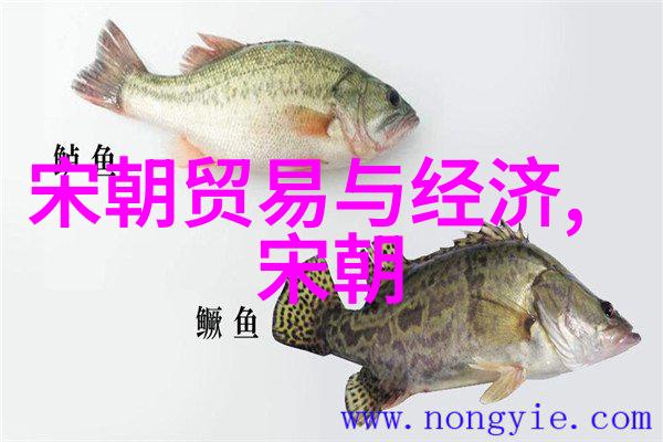 元朝废除的制度与遗产从科举制到佛教寺院