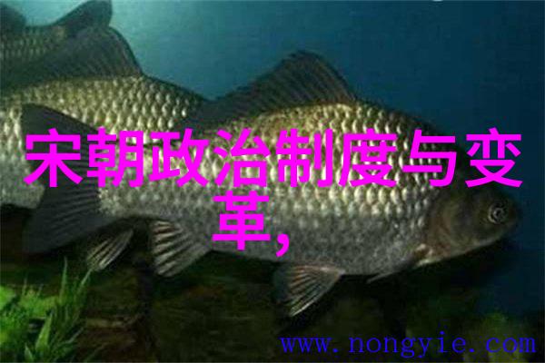 王珮瑜京剧风采亮相综艺节目
